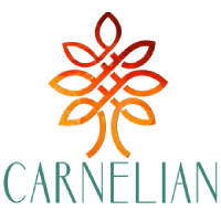 Carnelian Capital - Shift Strategy