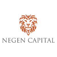 Negen Capital - Special Situations & Technology Fund