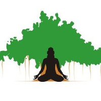 SageOne - Core Portfolio